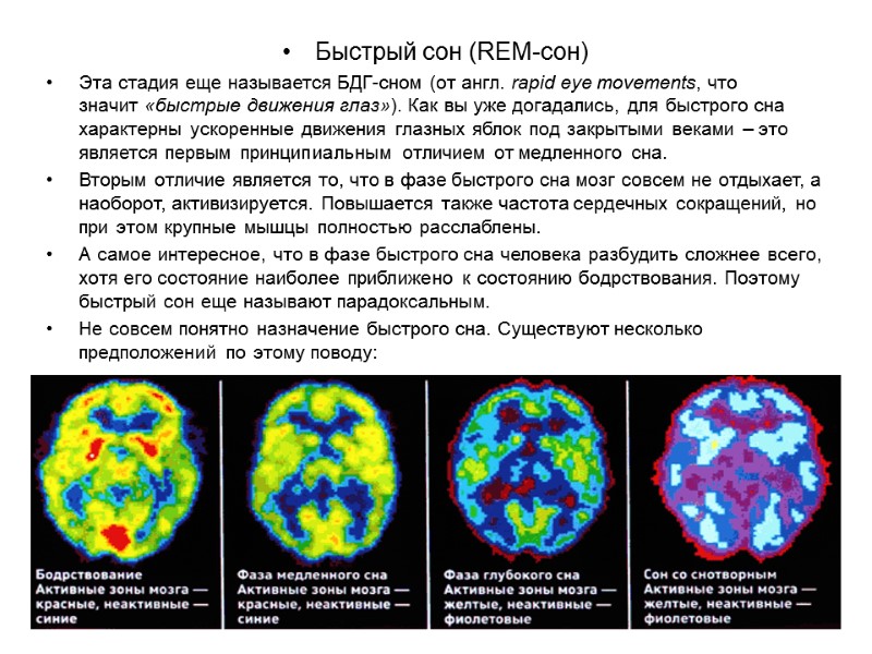 Быстрый сон (REM-сон) Эта стадия еще называется БДГ-сном (от англ. rapid eye movements, Быстрый сон (REM-сон) Эта стадия еще называется БДГ-сном (от англ. rapid eye movements,